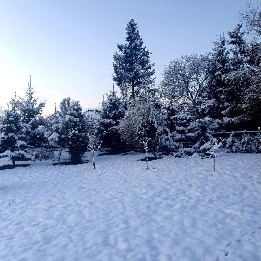 Agroturystyka Sielska Kraina Zabkowice Slaskie Exterior foto