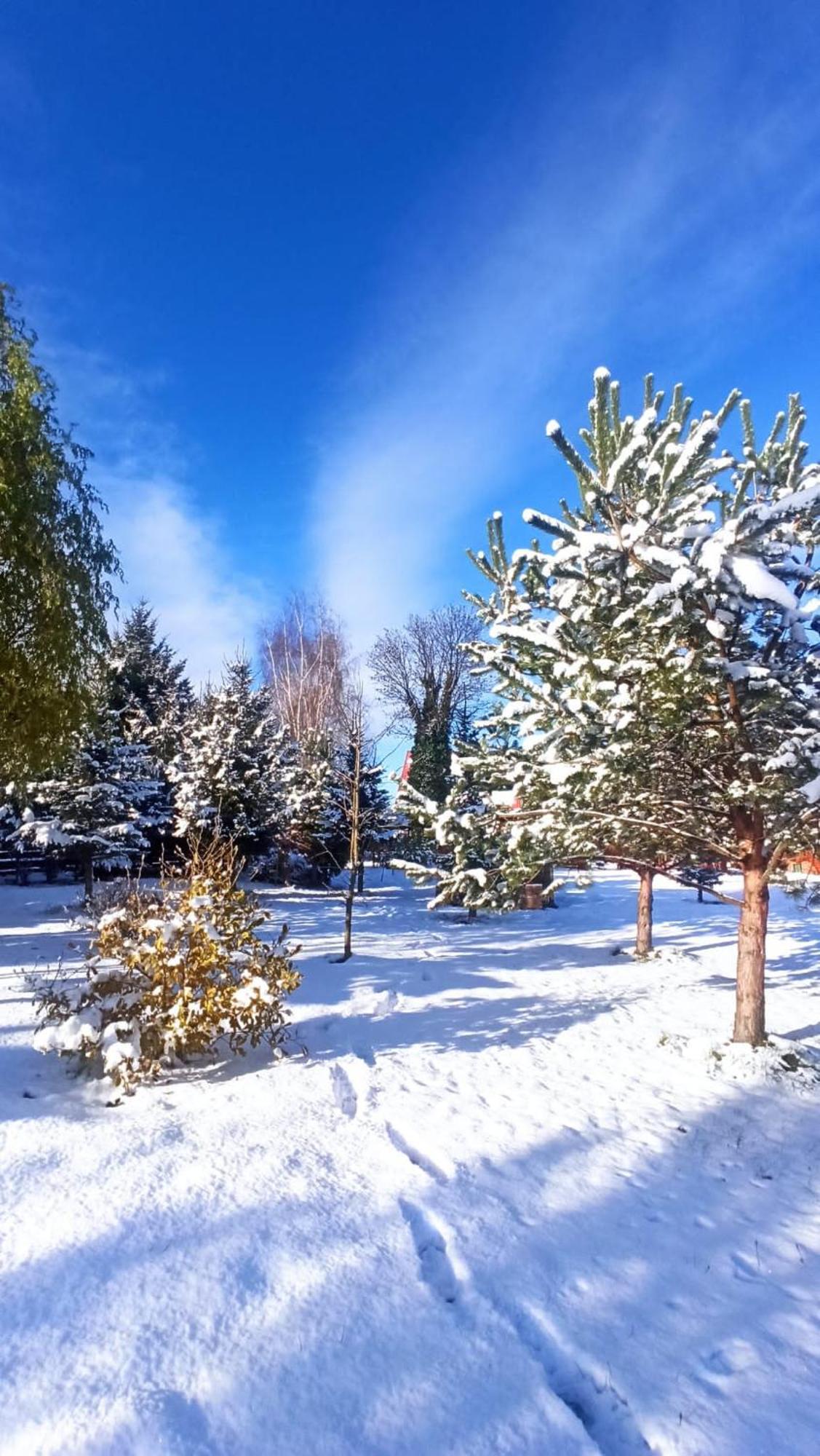Agroturystyka Sielska Kraina Zabkowice Slaskie Exterior foto